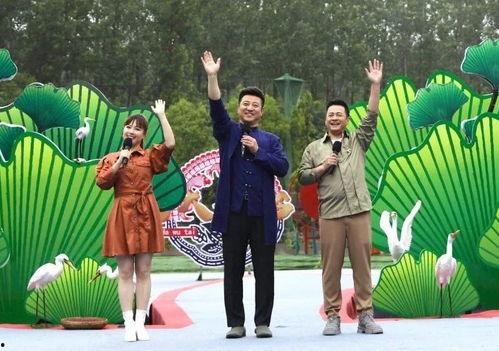 依哥最新爆料新闻视频在线观看,揭秘视频内容精彩瞬间